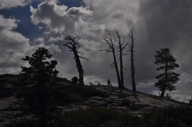 On Sentinel Dome